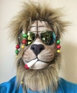 Rubber Johnnies Animal Masks Rasta Lion Mask