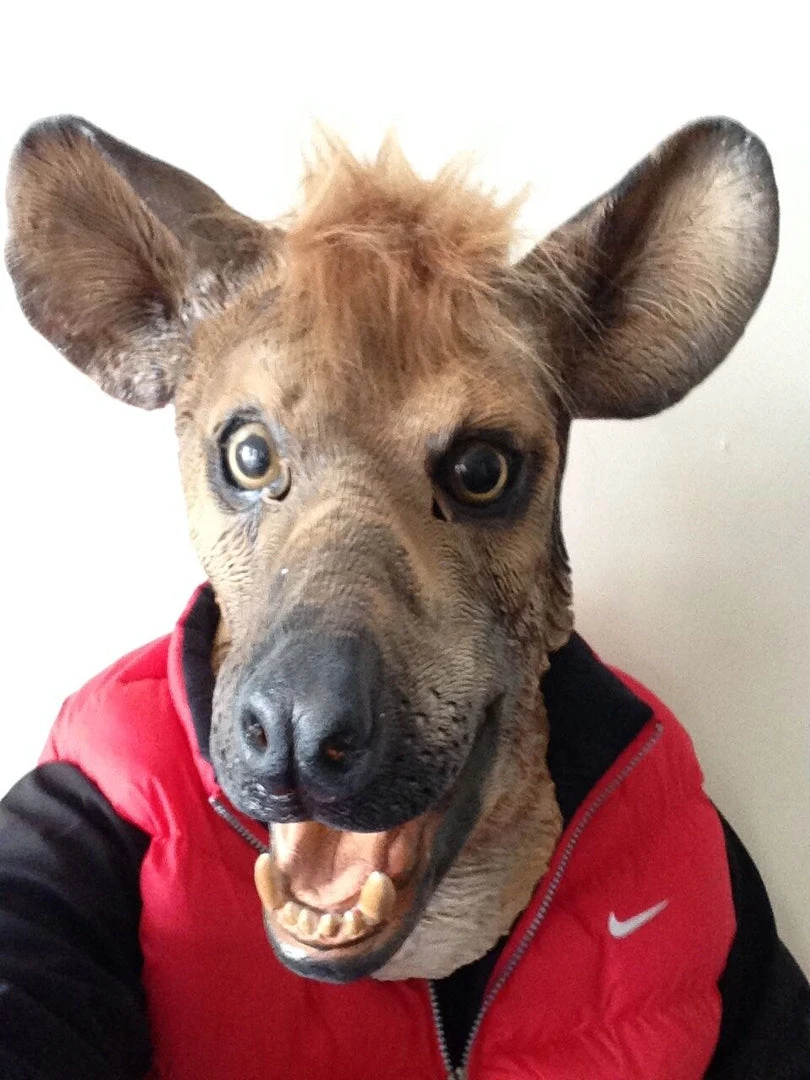 Rubber Johnnies Hyena Mask Animal Masks 2 Rubber Johnnies Hyena Mask Animal Masks
