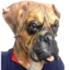 Rubber Johnnies Animal Masks Boxer Dog Mask