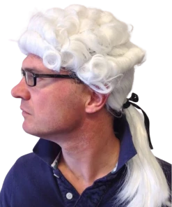 Rubber Johnnies Judge Wig