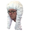 Rubber Johnnies Lord Chief Justice Wig Accessories
