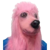 Rubber Johnnies PINK Poodle Dog Mask Animal Masks