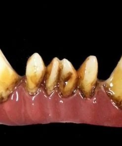 Dental Distortions Troll FX Teeth