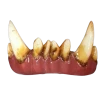 Dental Distortions Troll FX Teeth