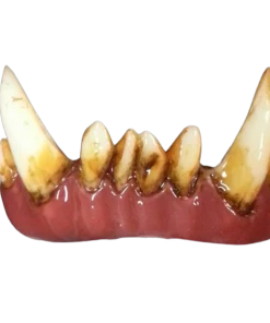 Dental Distortions Troll FX Teeth